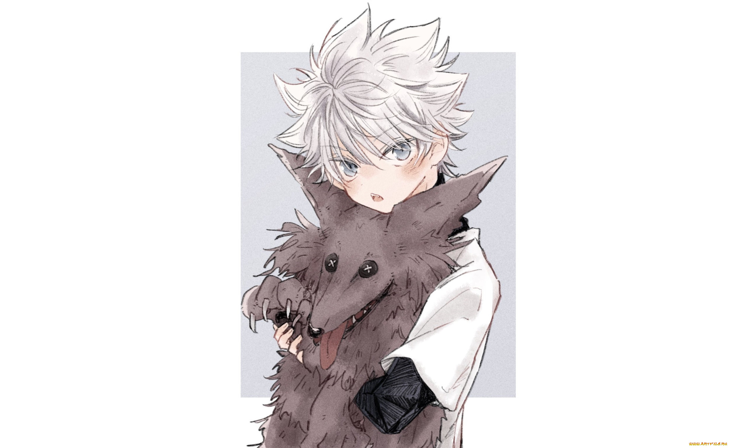 , hunter x hunter, 